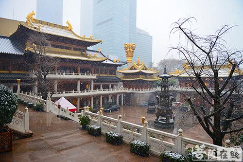 摄影-终盼银装素裹 共赏沪上寺院雪景 摄影-终盼银装素裹 共赏沪上寺院雪景