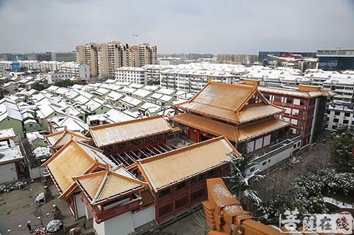 摄影-终盼银装素裹 共赏沪上寺院雪景 摄影-终盼银装素裹 共赏沪上寺院雪景