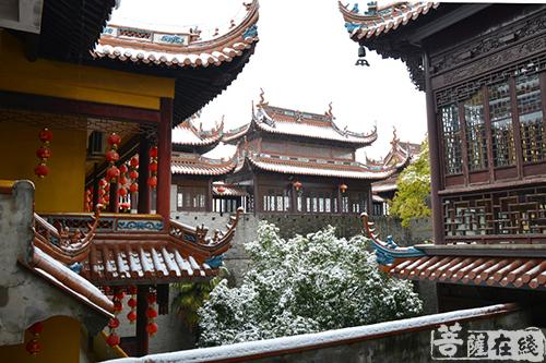 摄影-终盼银装素裹 共赏沪上寺院雪景 摄影-终盼银装素裹 共赏沪上寺院雪景