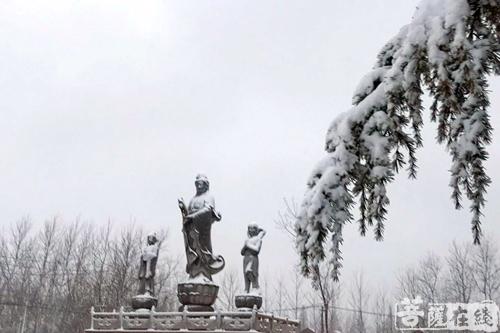 摄影-落雪无声 江苏寺院雪景集锦 摄影-落雪无声 江苏寺院雪景集锦