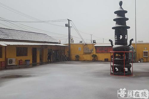 摄影-终盼银装素裹 共赏沪上寺院雪景 摄影-终盼银装素裹 共赏沪上寺院雪景
