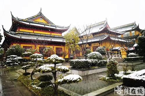 摄影-终盼银装素裹 共赏沪上寺院雪景 摄影-终盼银装素裹 共赏沪上寺院雪景