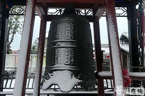 摄影-终盼银装素裹 共赏沪上寺院雪景 摄影-终盼银装素裹 共赏沪上寺院雪景