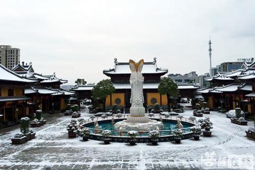 摄影-终盼银装素裹 共赏沪上寺院雪景 摄影-终盼银装素裹 共赏沪上寺院雪景
