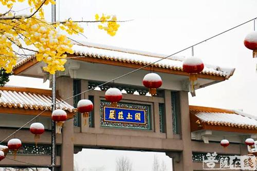 摄影-终盼银装素裹 共赏沪上寺院雪景 摄影-终盼银装素裹 共赏沪上寺院雪景