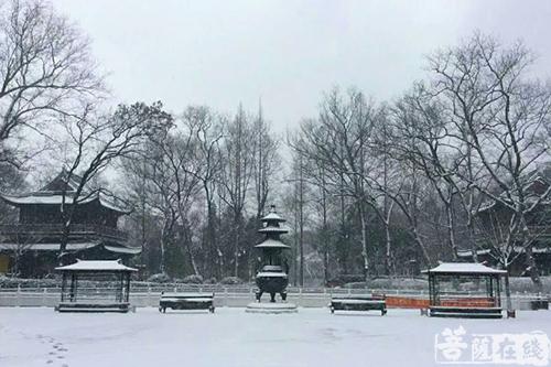 摄影-落雪无声 江苏寺院雪景集锦 摄影-落雪无声 江苏寺院雪景集锦