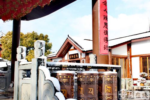 摄影-终盼银装素裹 共赏沪上寺院雪景 摄影-终盼银装素裹 共赏沪上寺院雪景