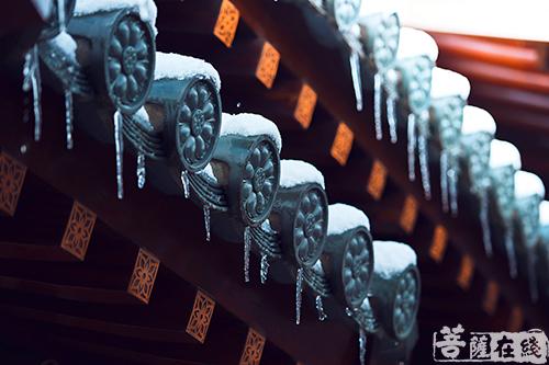 摄影-终盼银装素裹 共赏沪上寺院雪景 摄影-终盼银装素裹 共赏沪上寺院雪景