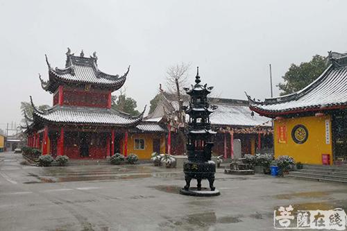 摄影-终盼银装素裹 共赏沪上寺院雪景 摄影-终盼银装素裹 共赏沪上寺院雪景