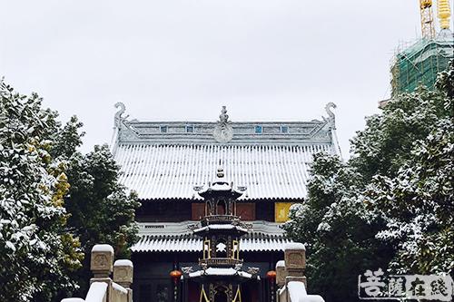 摄影-终盼银装素裹 共赏沪上寺院雪景 摄影-终盼银装素裹 共赏沪上寺院雪景