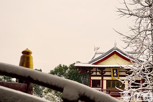 摄影-落雪无声 江苏寺院雪景集锦 摄影-落雪无声 江苏寺院雪景集锦