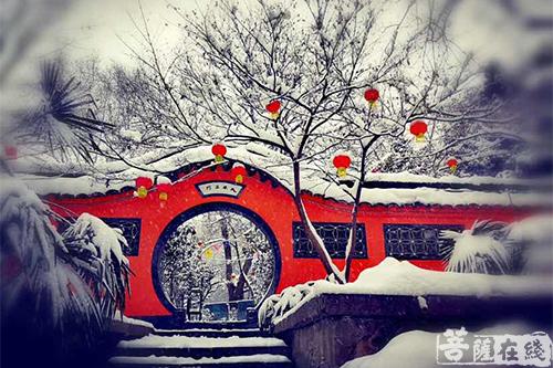 摄影-落雪无声 江苏寺院雪景集锦 摄影-落雪无声 江苏寺院雪景集锦