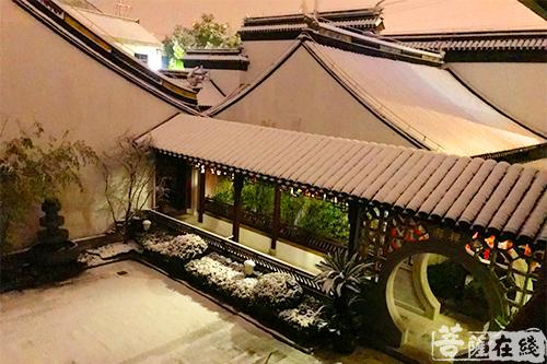 摄影-终盼银装素裹 共赏沪上寺院雪景 摄影-终盼银装素裹 共赏沪上寺院雪景