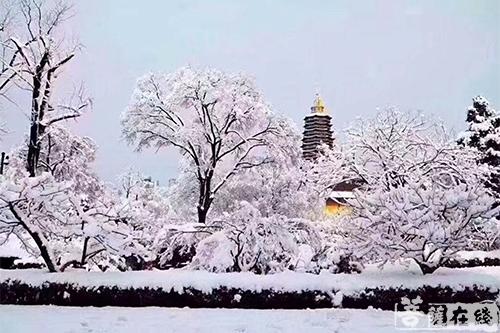 摄影-落雪无声 江苏寺院雪景集锦 摄影-落雪无声 江苏寺院雪景集锦
