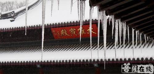 摄影-落雪无声 江苏寺院雪景集锦 摄影-落雪无声 江苏寺院雪景集锦
