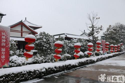 摄影-落雪无声 江苏寺院雪景集锦 摄影-落雪无声 江苏寺院雪景集锦