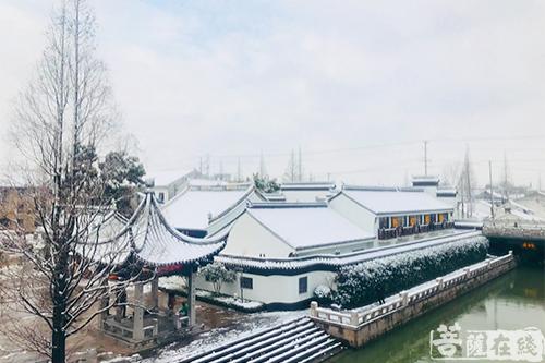 摄影-终盼银装素裹 共赏沪上寺院雪景 摄影-终盼银装素裹 共赏沪上寺院雪景