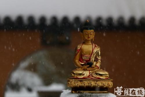 摄影-落雪无声 江苏寺院雪景集锦 摄影-落雪无声 江苏寺院雪景集锦