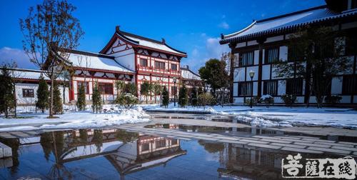 摄影-落雪无声 江苏寺院雪景集锦 摄影-落雪无声 江苏寺院雪景集锦