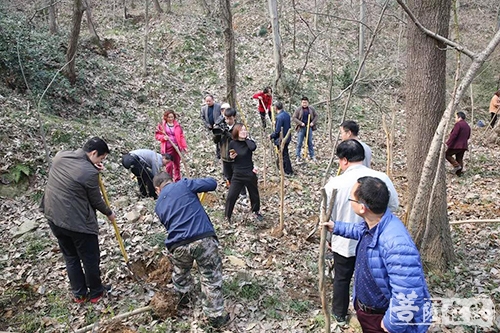 时政-湖北相国寺开展“义务植树·建设生态寺观”活动