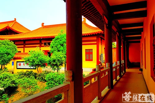 湘阴-湖南湘阴南泉寺举行2018春季禅修活动