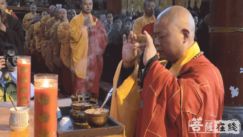 500_281gif 动态图 动图