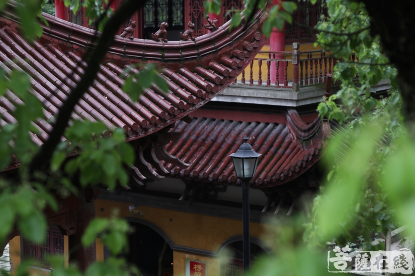 【高清图集】上饶东岳护国寺水陆法会第二日:诵经拜忏 上堂说法