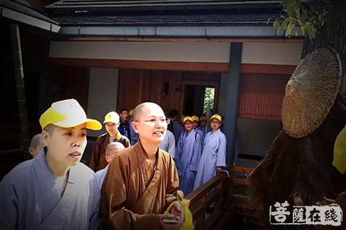 五祖寺-上海佛学院尼众律学部师生赴五祖寺参学