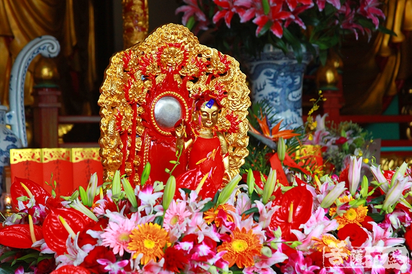 【高清图集】恭迎释迦牟尼佛圣诞日 宁国禅寺两序大众共渡浴佛节