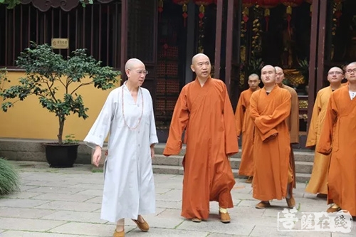 宁国-上海宁国禅寺开展“爱国爱教”参访学习活动