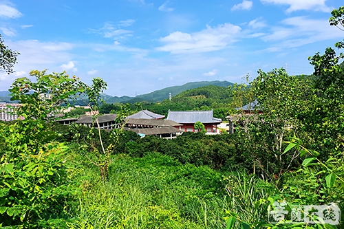 广东省博罗县礼佛禅寺图片