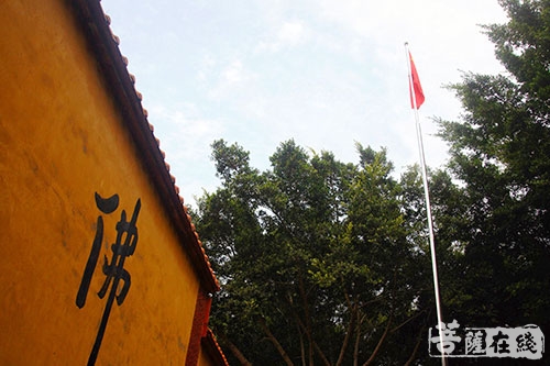 佛教-八一建军节 泉州少林寺举行升旗仪式向伟大军人致敬