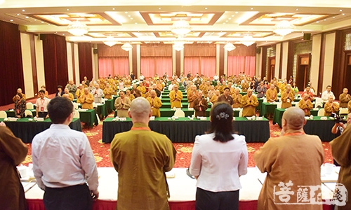佛教-南京市佛教协会召开第十次代表会议 隆相法师当选会长