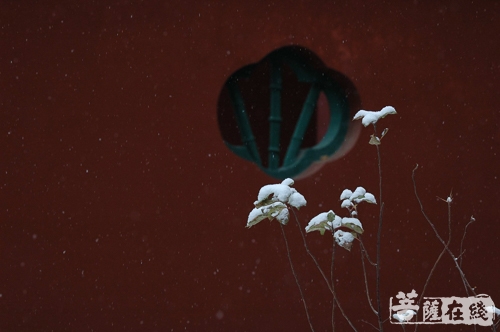 佛教-宠辱不惊 我自欢喜