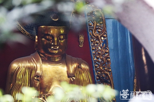 印光大师-梁启超先生与印光大师的佛缘