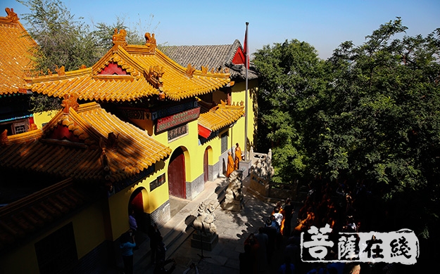 佛教-济南市佛教界举行迎国庆暨“四进”佛教活动场所启动仪式