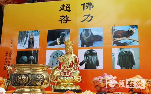 慈恩寺-沈阳市慈恩寺举行第二届大型慈爱悲悯公益法会