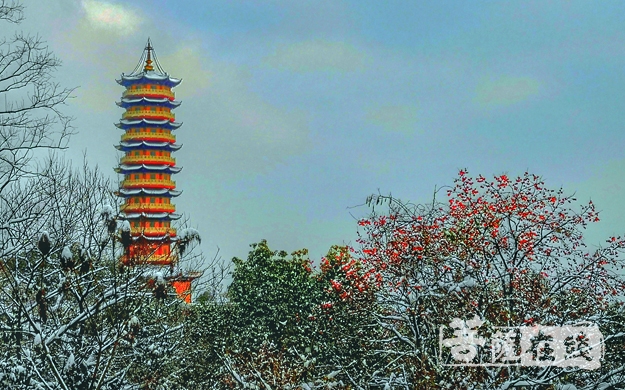 佛教-岳阳市委统战部副部长任欣欣一行春节慰问岳阳佛教团体
