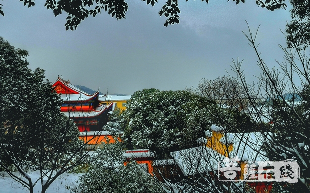 佛教-岳阳市委统战部副部长任欣欣一行春节慰问岳阳佛教团体