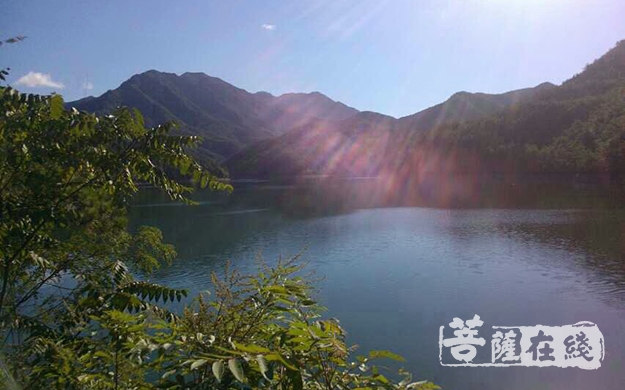 王维-王维禅诗：世界法身中