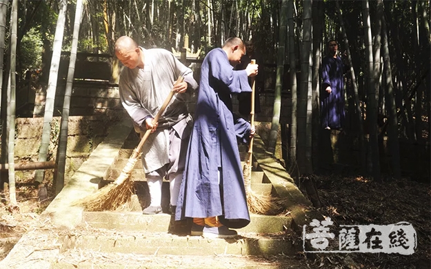 清明节-绿色祭祀 宁波七塔禅寺举行清明扫塔祭祖活动