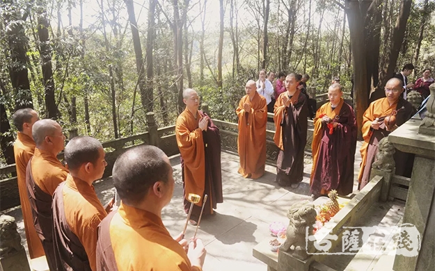 清明节-绿色祭祀 宁波七塔禅寺举行清明扫塔祭祖活动