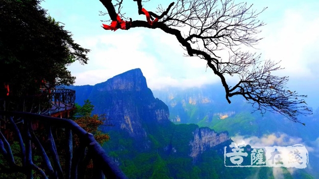 天门山-湘粤两省政协领导一行调研张家界天门山寺