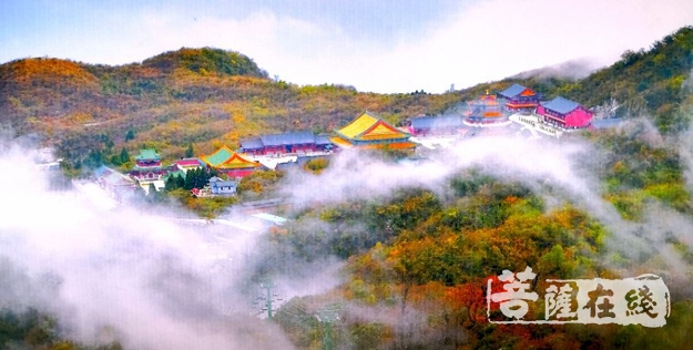 天门山-湘粤两省政协领导一行调研张家界天门山寺