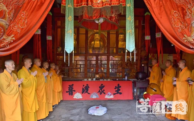 佛教-峨眉山佛学院师生参学四川蒙顶山