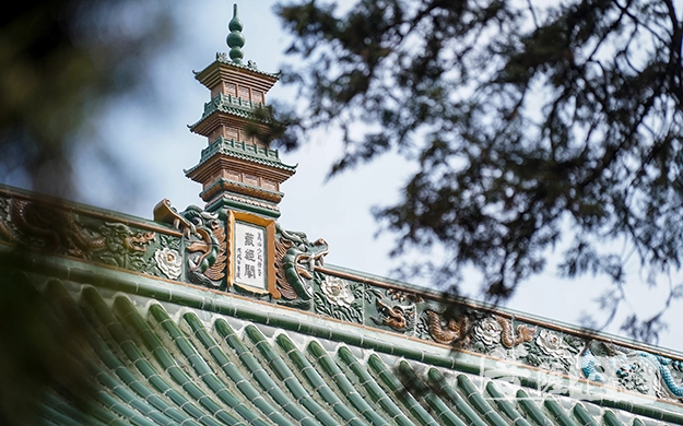 嵩山少林寺：“一带一路”中的一张特色名片