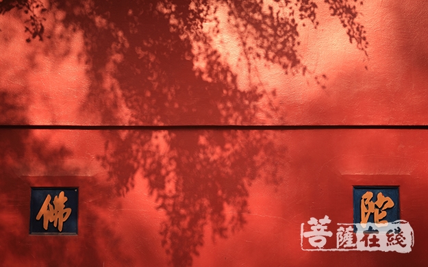 佛教-关于“亚洲文明对话”，佛教这样做