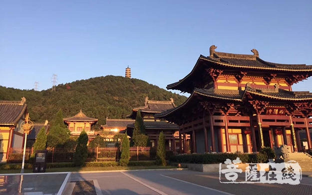 中国佛教协会副秘书长怀梵大和尚一行考察江西东乡西隐寺