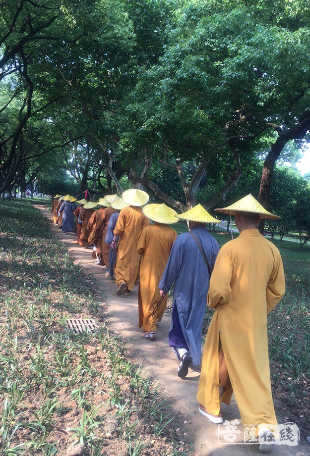 智宗法师率普陀山佛教协会第四组参学团赴湖南参学