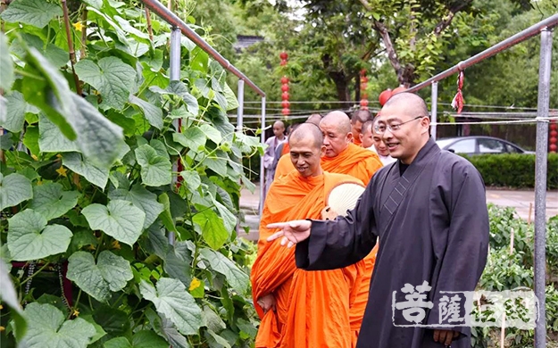 佛教-中佛协副秘书长帕祜巴罕听长老一行参访苏州圣堂寺